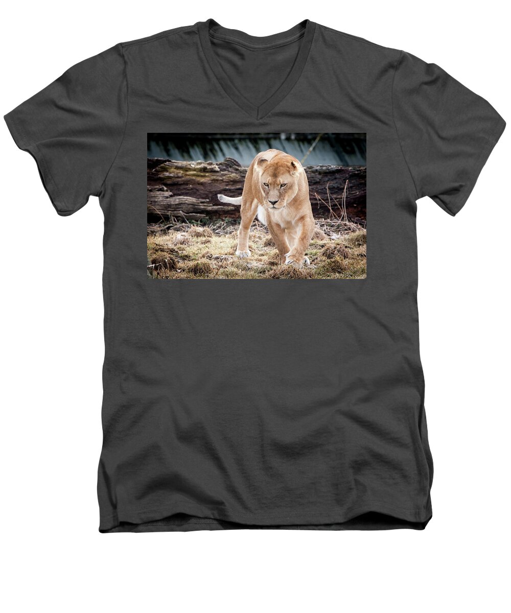 Germany Men's V-Neck T-Shirt featuring the photograph Lion Eyes by John Wadleigh