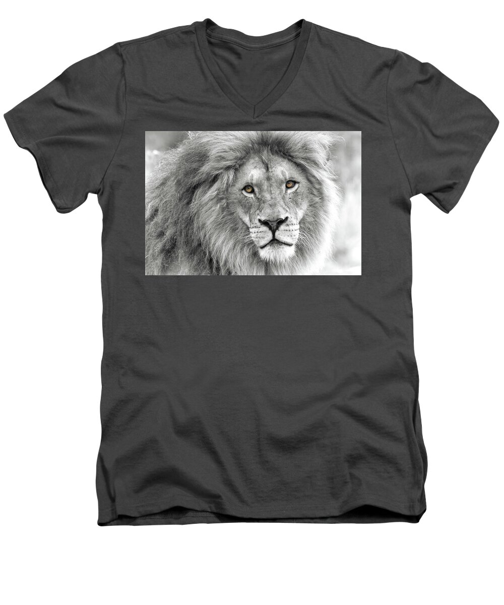 Lion Men's V-Neck T-Shirt featuring the photograph Lion King by Celine Pollard