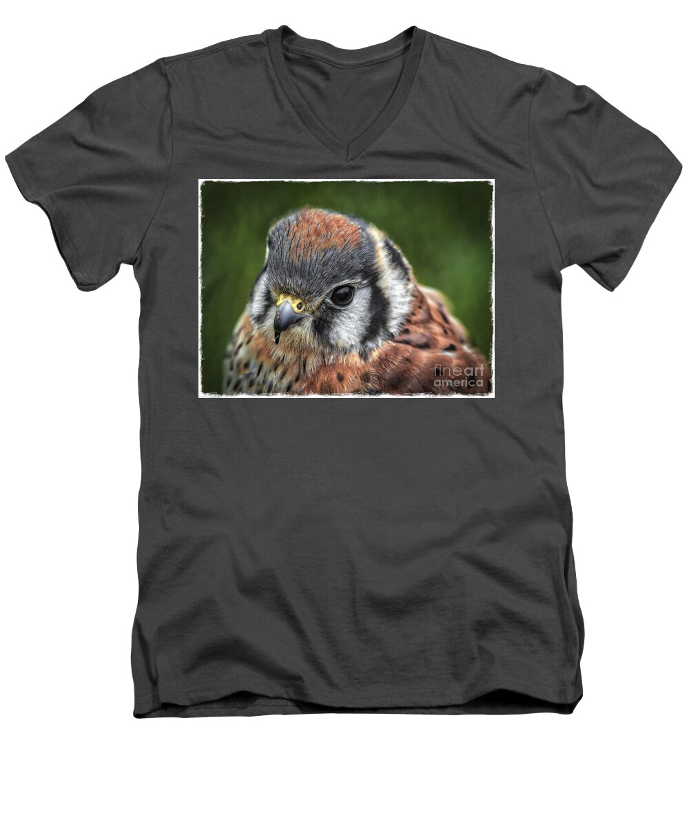 Beautiful Little Kestrel Men's V-Neck T-Shirt featuring the photograph Little Wing by Mitch Shindelbower