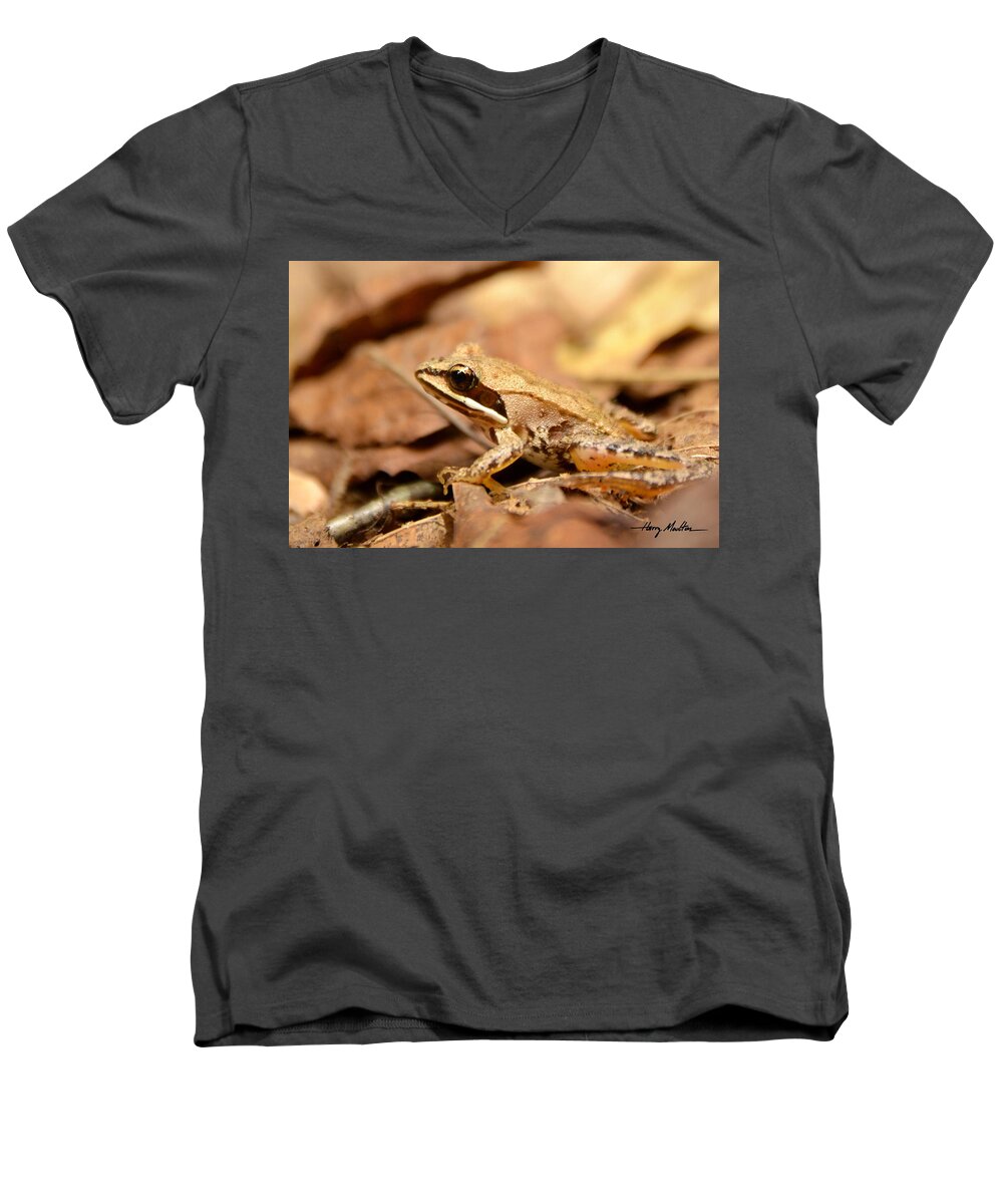 Frog Men's V-Neck T-Shirt featuring the photograph Little Wood Frog by Harry Moulton