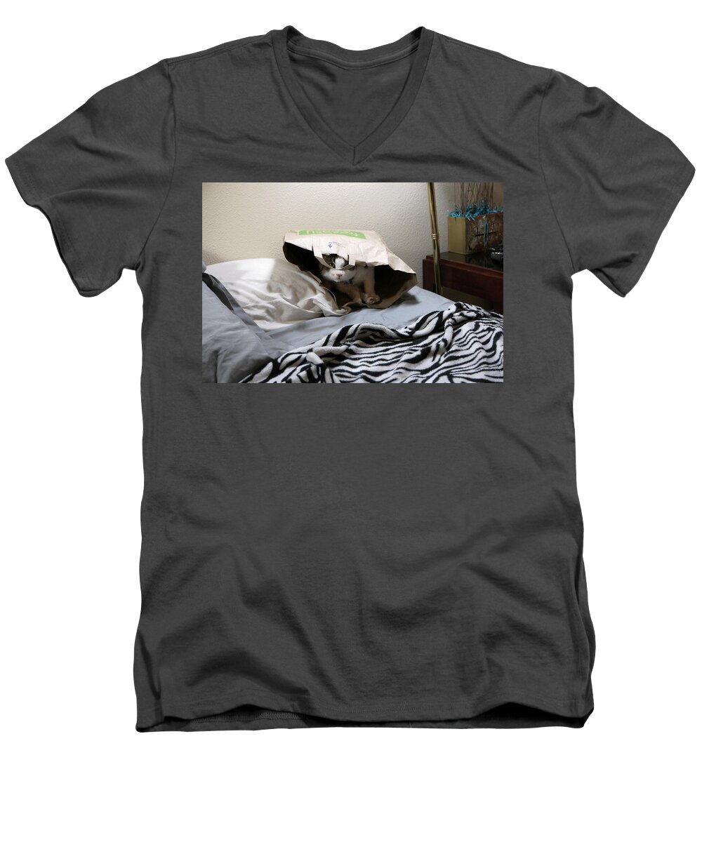  Men's V-Neck T-Shirt featuring the photograph Lois's Favorite Cat Picture In The Whole Wide World by Carl Wilkerson