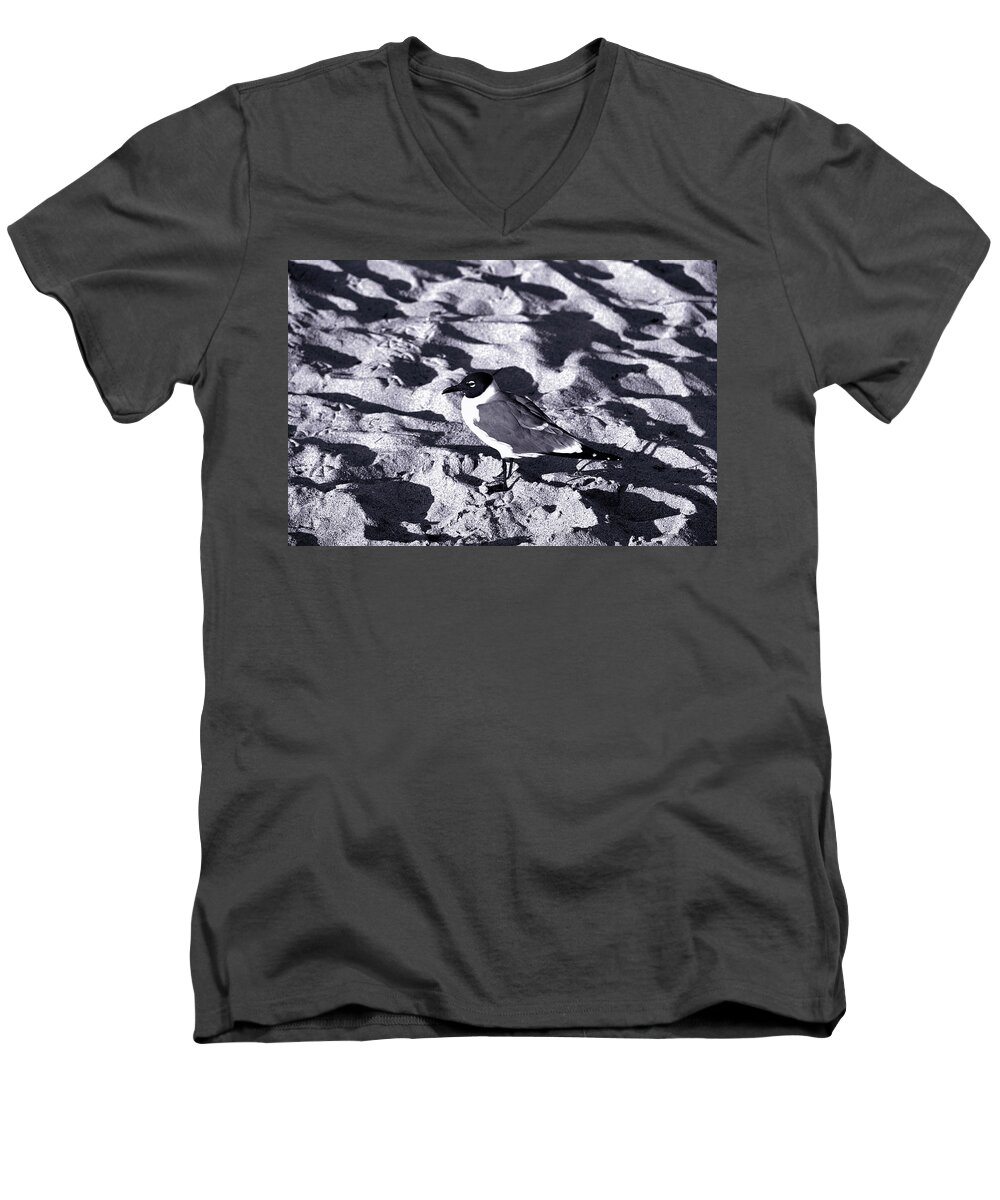 Beach Men's V-Neck T-Shirt featuring the photograph Lone Seagull by Gary Dean Mercer Clark