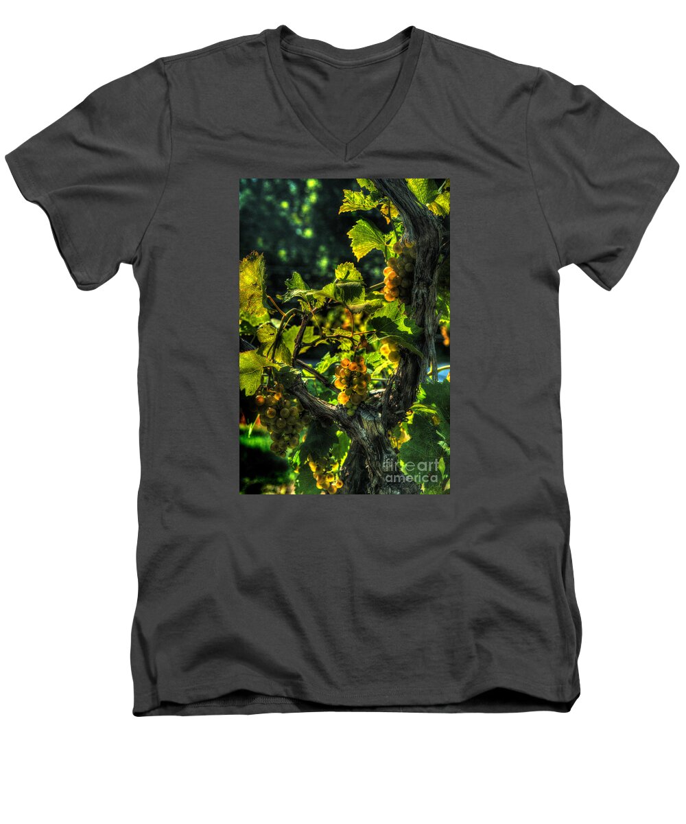Lost Creek Chardonel Men's V-Neck T-Shirt featuring the digital art Lost Creek Chardonel by William Fields