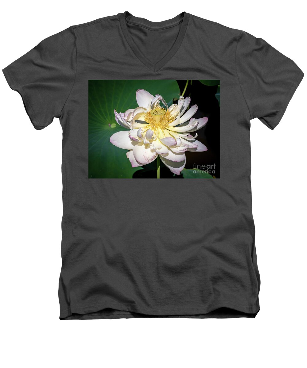 Lotus Men's V-Neck T-Shirt featuring the photograph Lotus Flower by Scott and Dixie Wiley