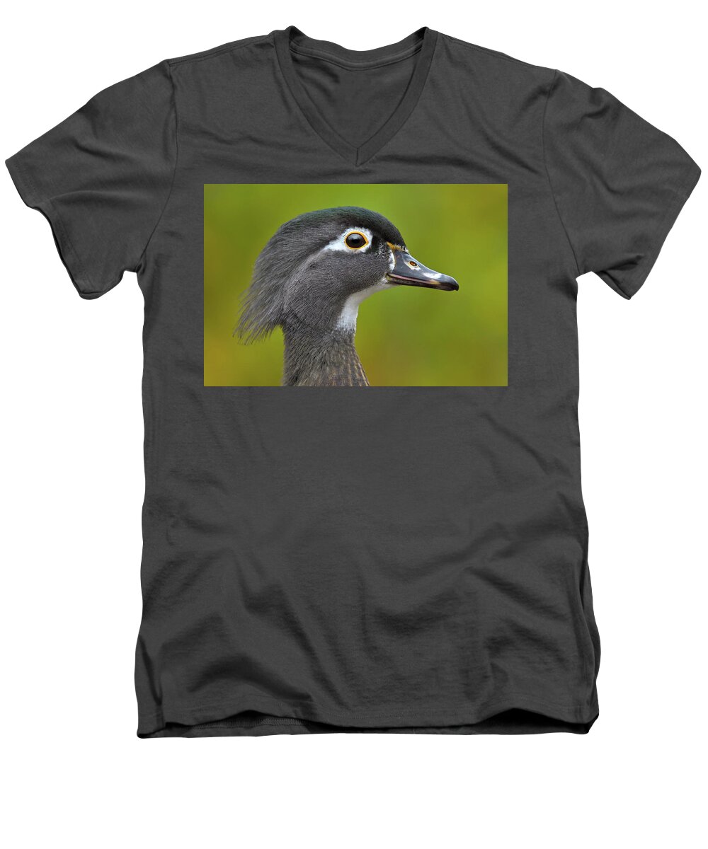 Wood Duck Men's V-Neck T-Shirt featuring the photograph Low Key by Tony Beck