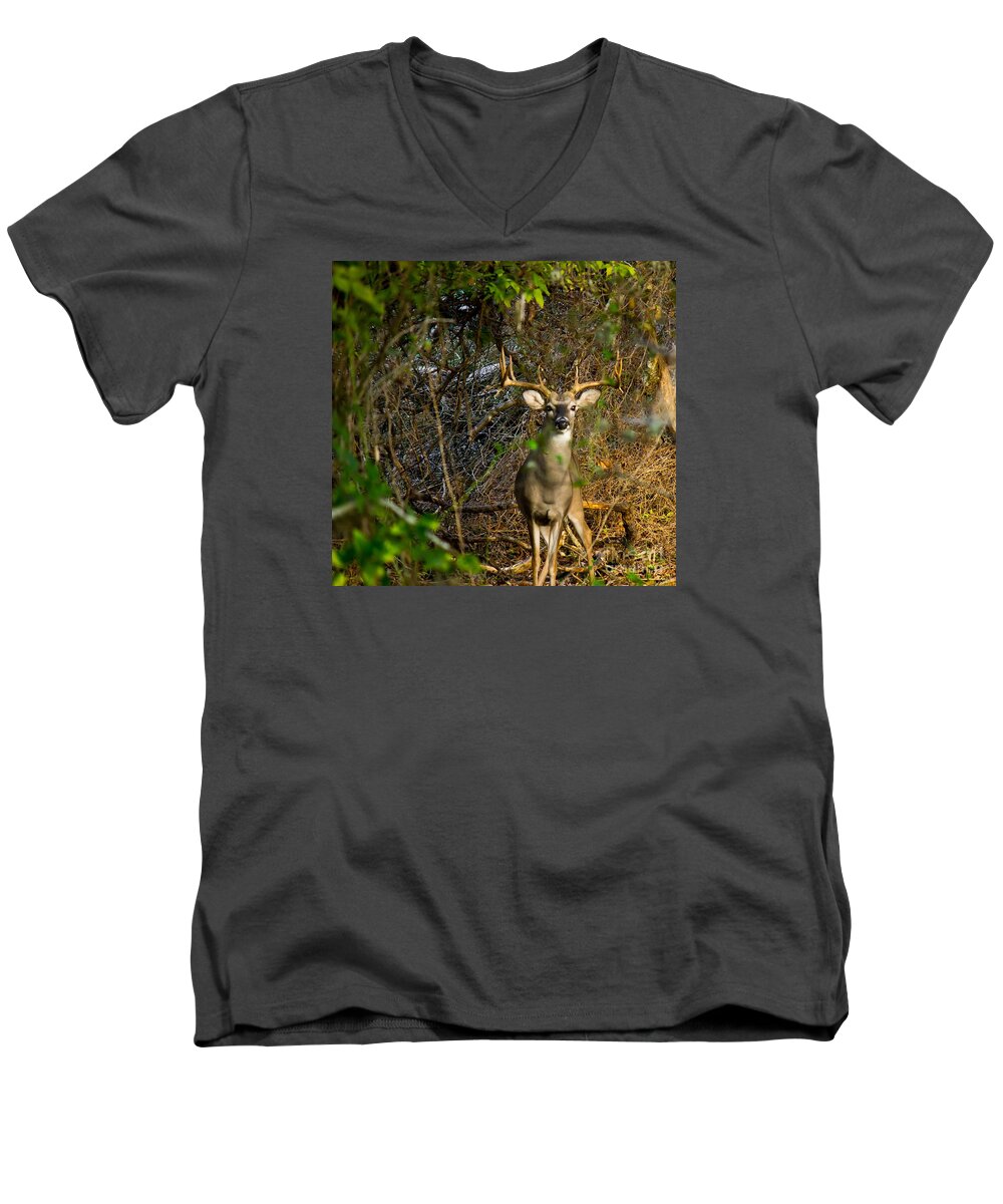 Michael Tidwell Photography Men's V-Neck T-Shirt featuring the photograph Majestic Whitetail by Michael Tidwell