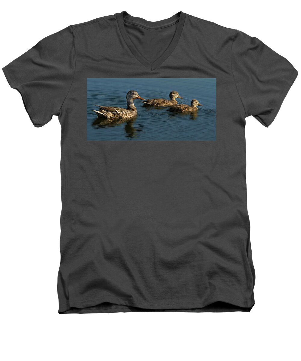Jean Noren Men's V-Neck T-Shirt featuring the photograph Mallard Family Outing by Jean Noren