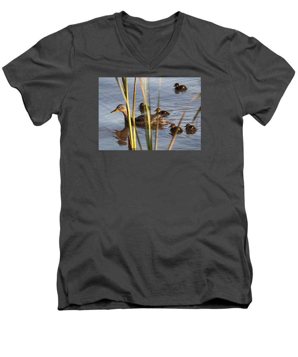 Astoria Men's V-Neck T-Shirt featuring the photograph Mallard Family by Robert Potts