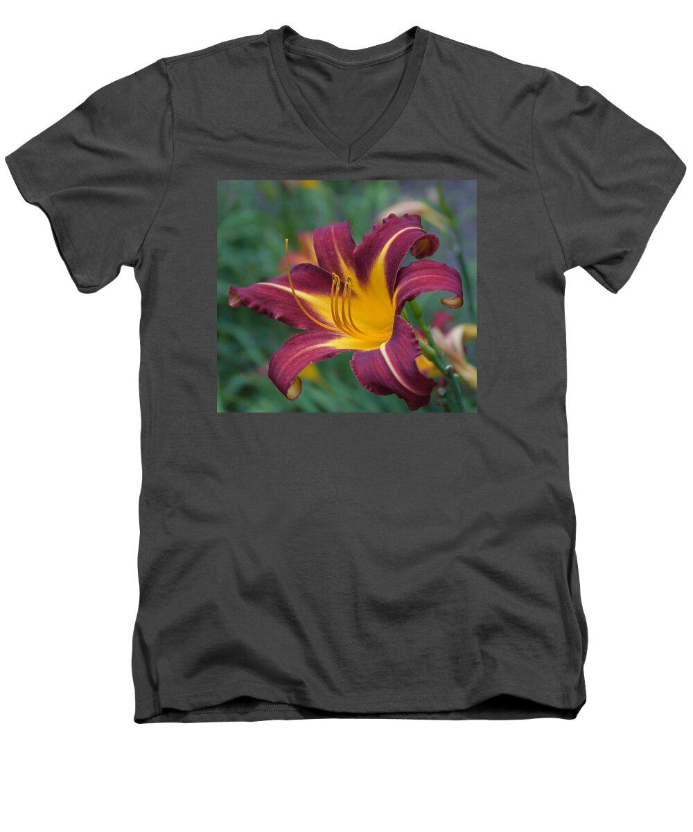 Lily Men's V-Neck T-Shirt featuring the photograph Maroon And Gold by Arlene Carmel