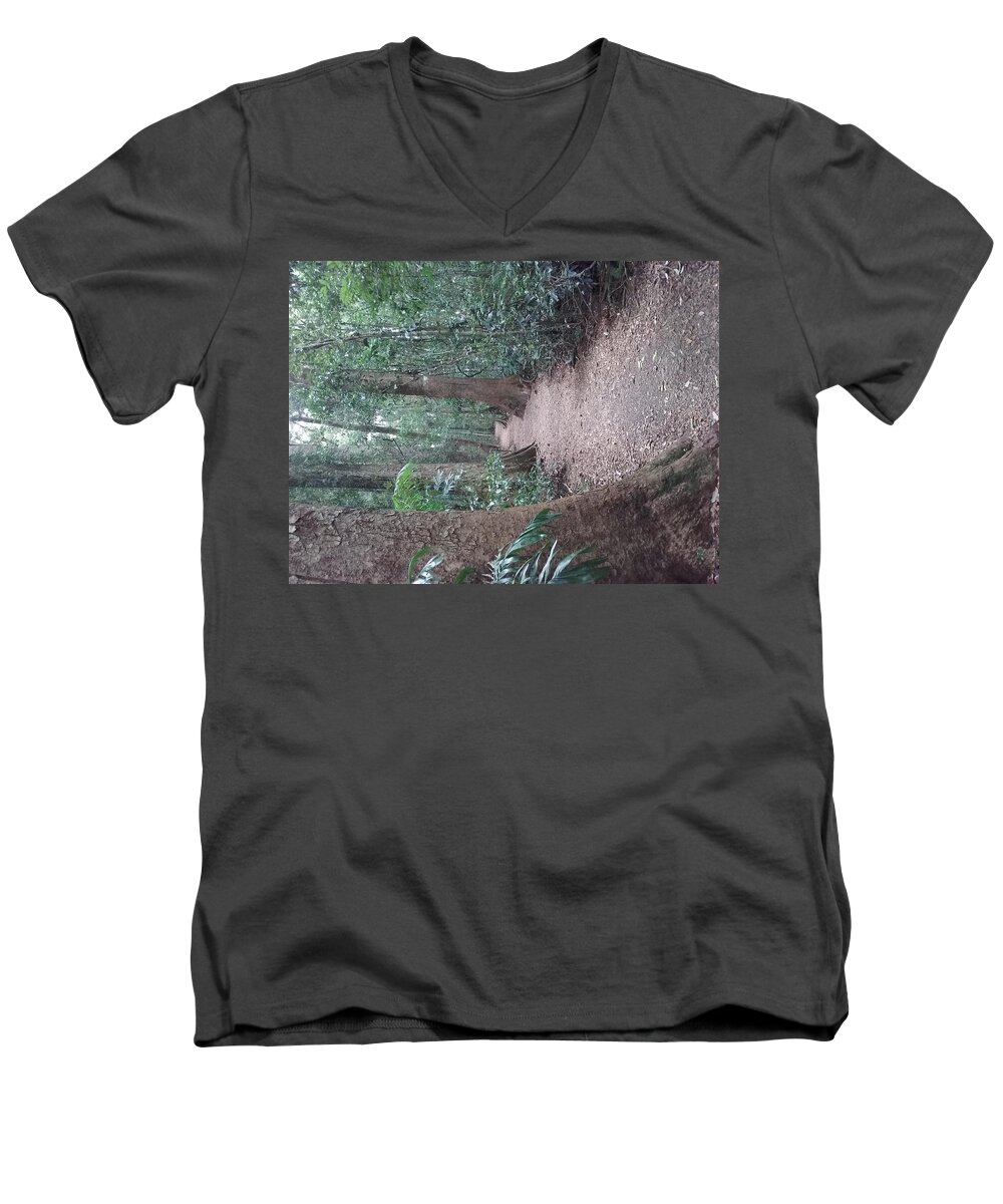 Landscape Men's V-Neck T-Shirt featuring the photograph Mary Cairncross Rainforest #2 by Cassy Allsworth