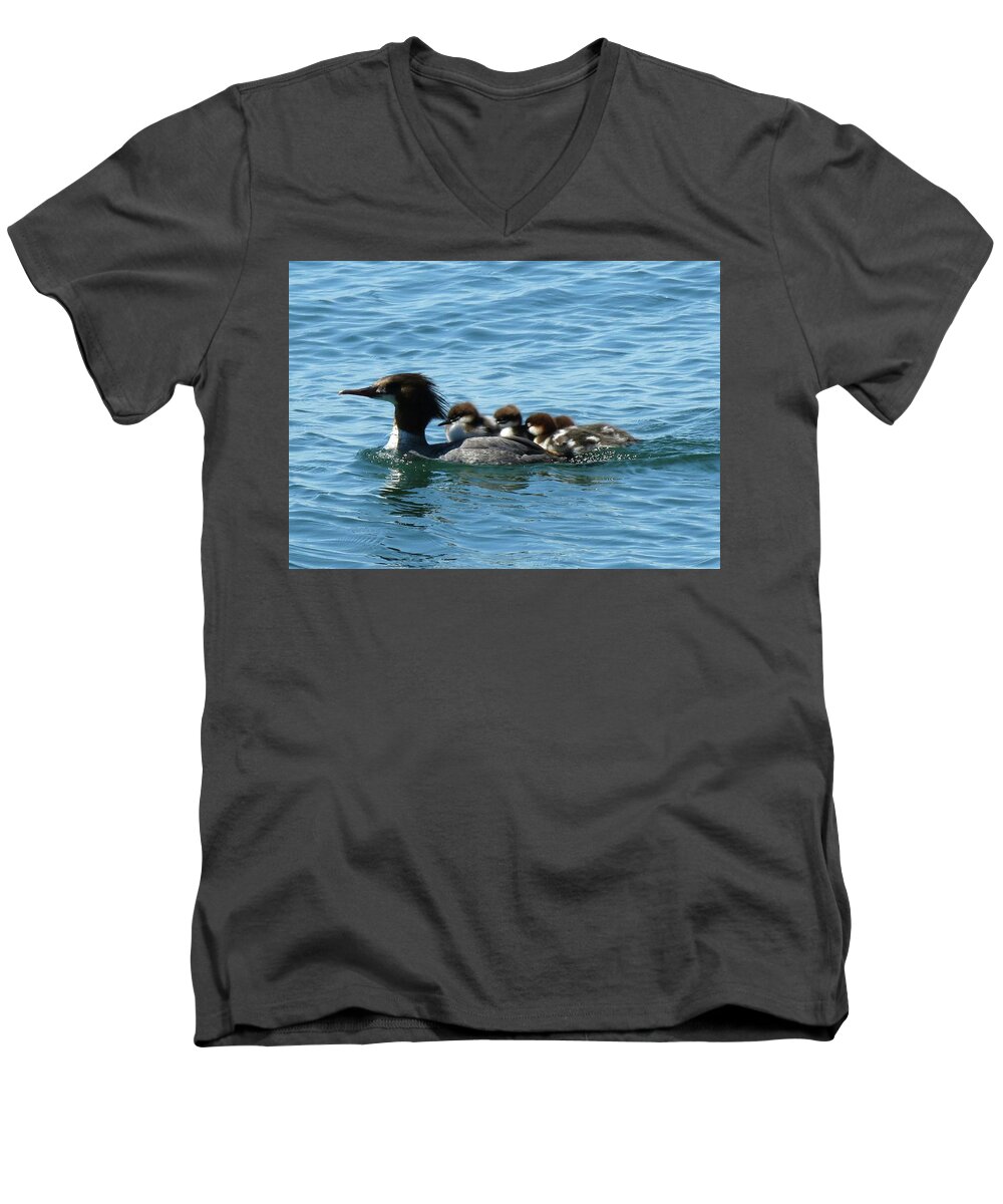 Thousand Island Men's V-Neck T-Shirt featuring the photograph Merganser and her chicks by Dennis McCarthy