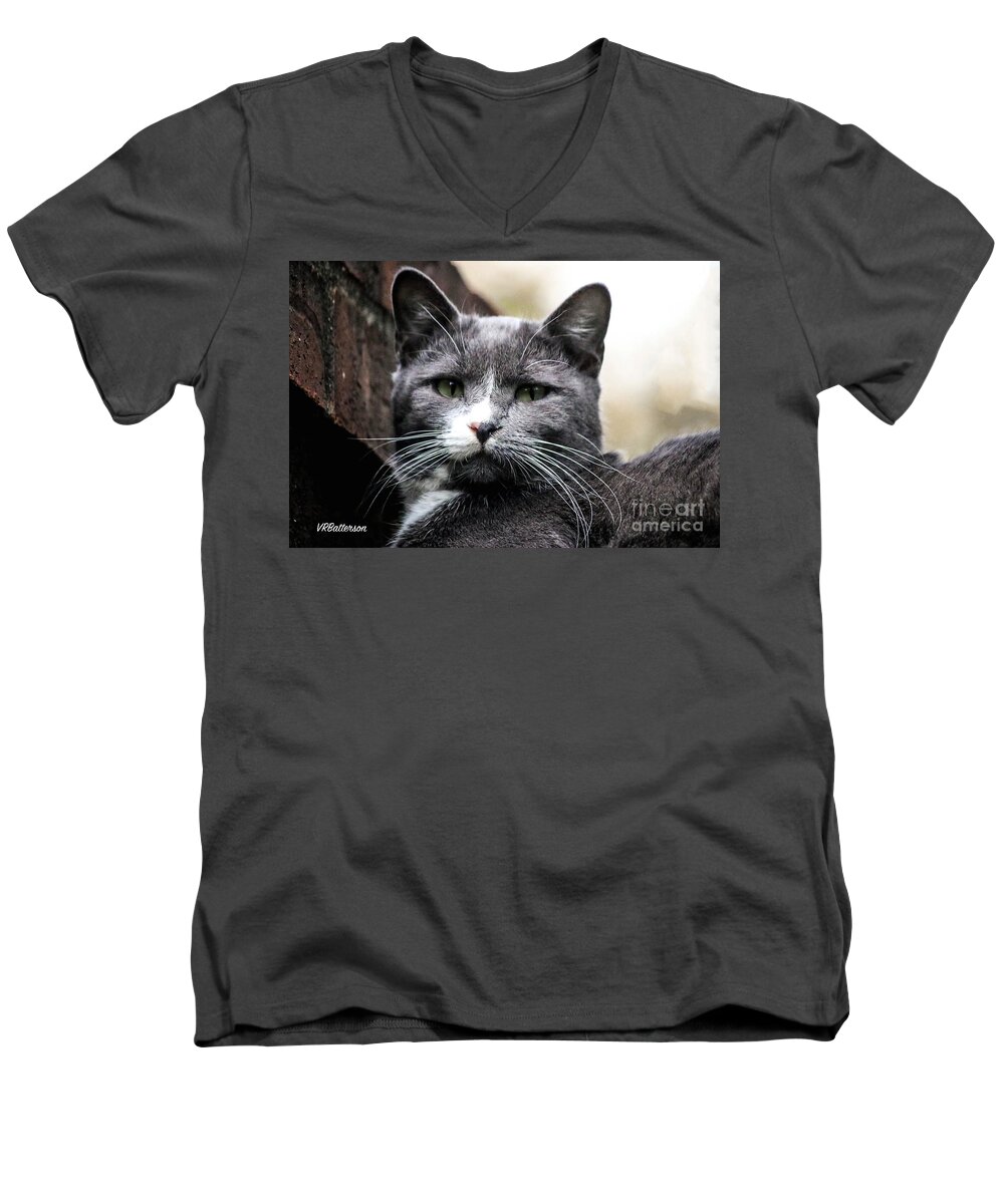Cats Men's V-Neck T-Shirt featuring the photograph Mister Mistoffelees by Veronica Batterson