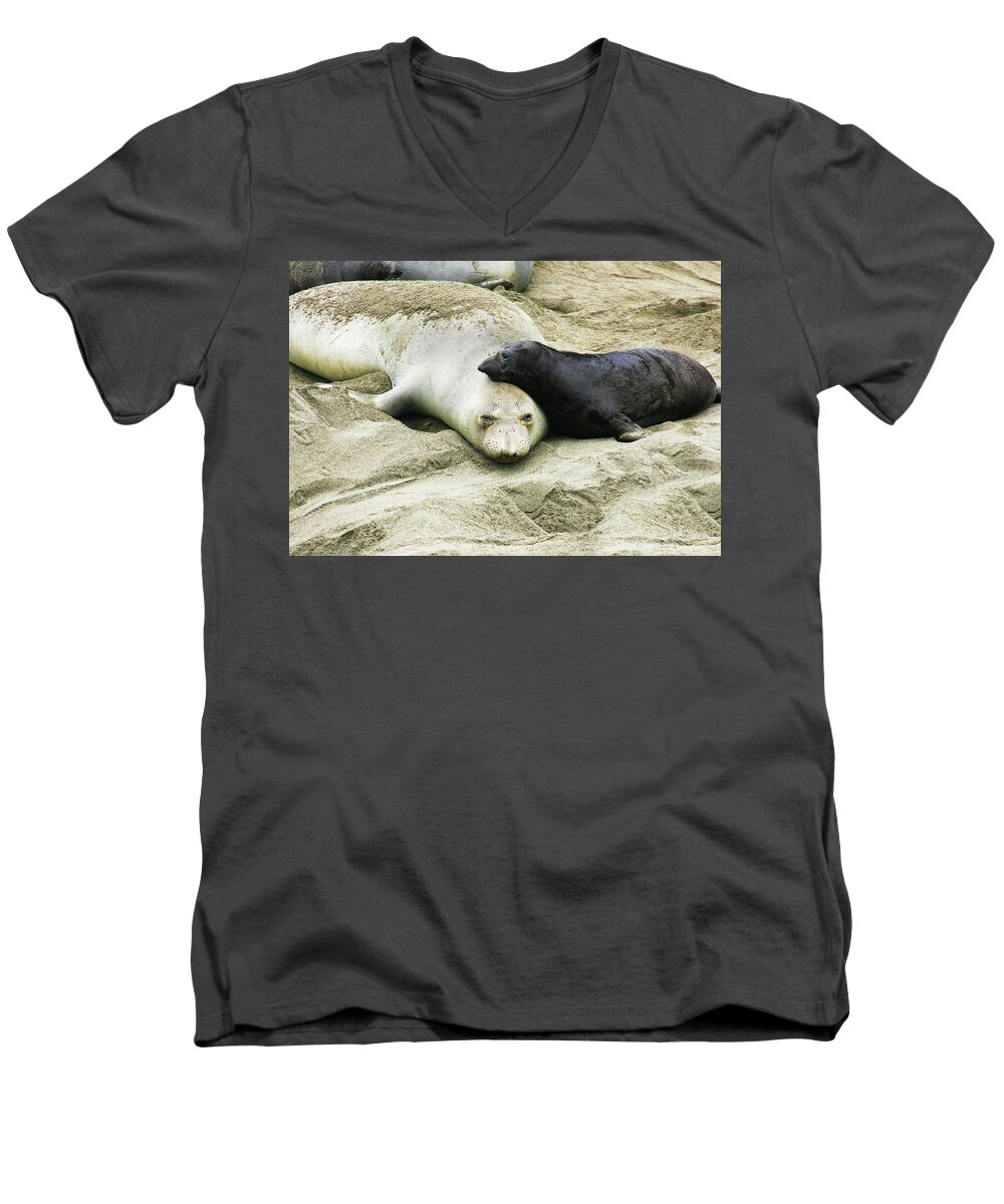 Elephant Seal Men's V-Neck T-Shirt featuring the photograph Mom and Pup by Anthony Jones