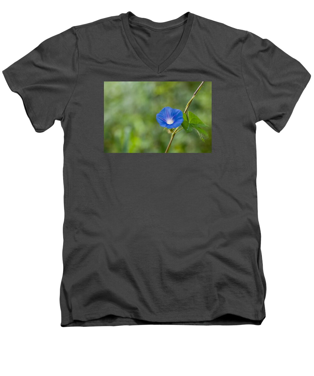 Da*55 1.4 Men's V-Neck T-Shirt featuring the photograph Morning Glory by Lori Coleman