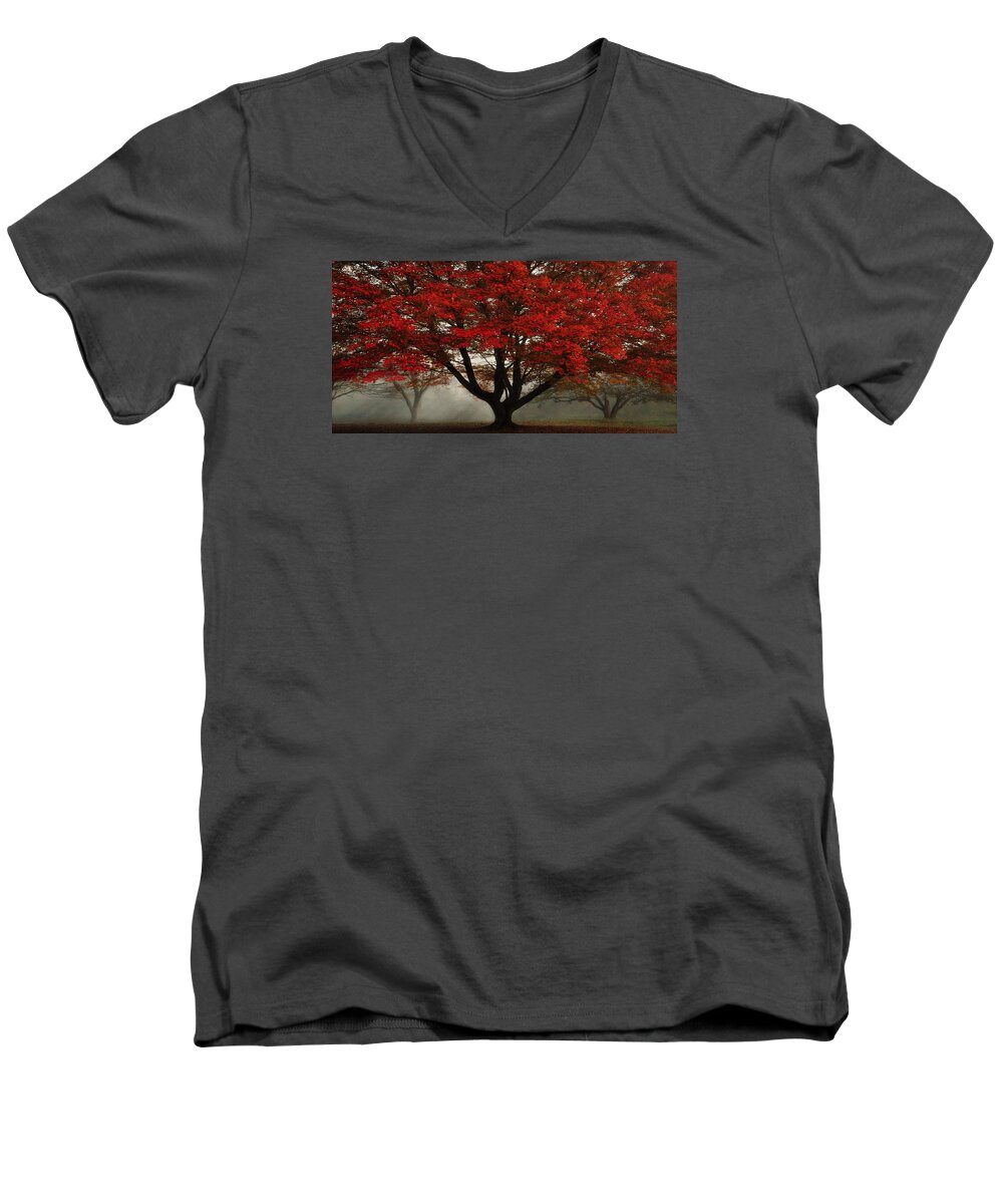 Cuyahoga National Park Men's V-Neck T-Shirt featuring the photograph Morning Rays in the Forest by Ken Smith