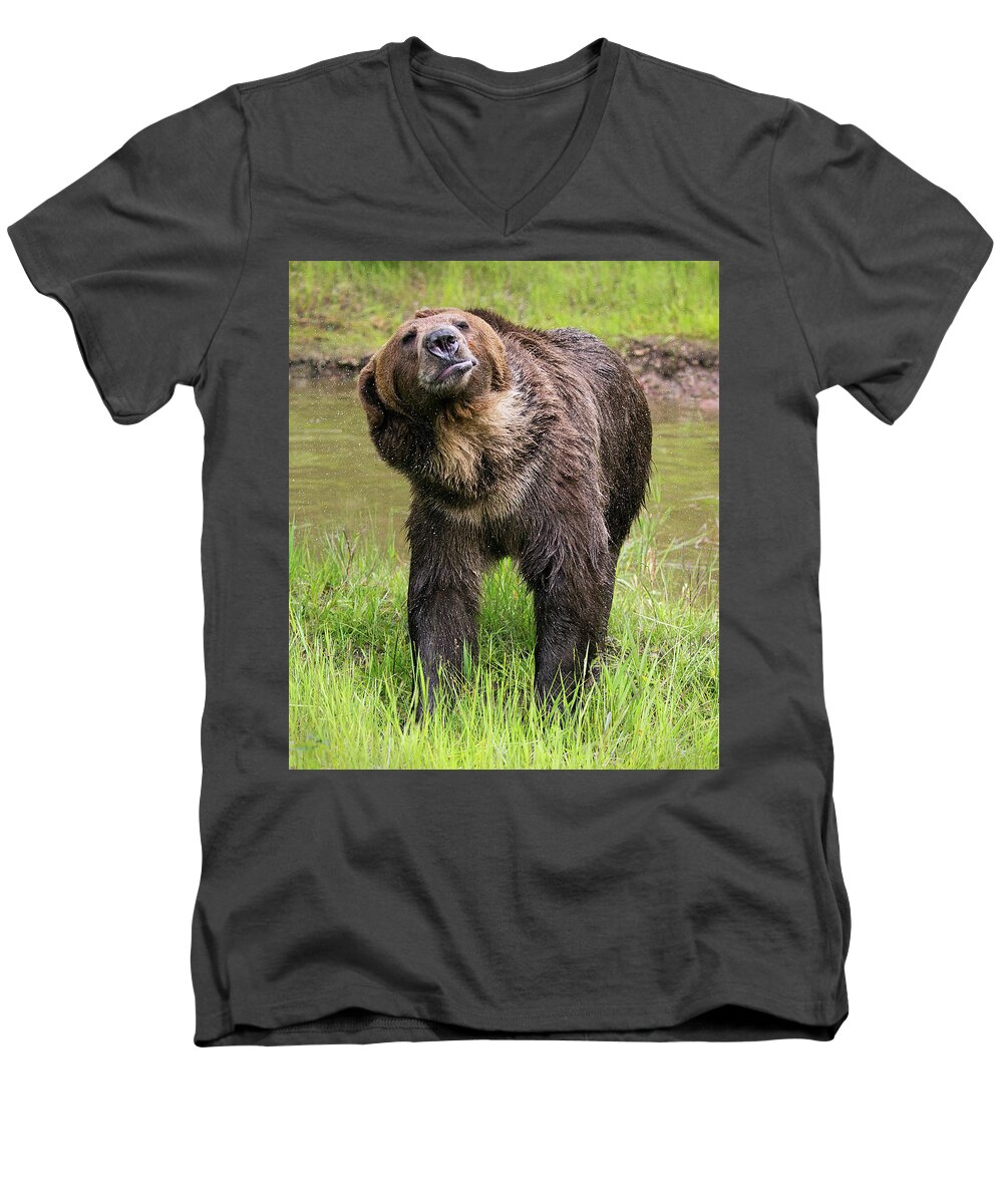 Grizzly Men's V-Neck T-Shirt featuring the photograph Morning Shakeout by Art Cole