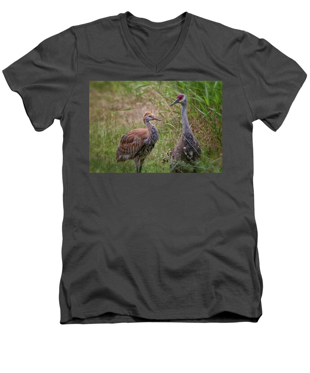 Sandhill Crane Men's V-Neck T-Shirt featuring the photograph Mother And Child by Randy Hall