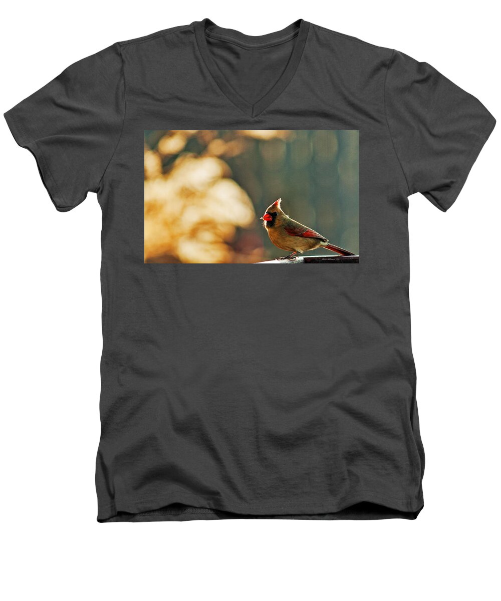 Northern Cardinal Men's V-Neck T-Shirt featuring the photograph Mouthful by Ed Peterson