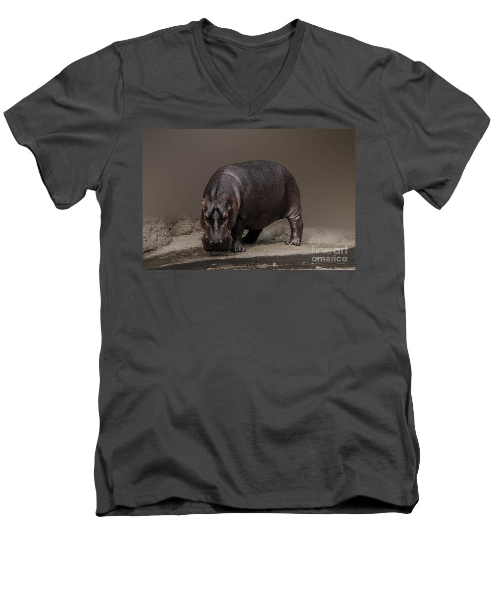 Hippopotamus Men's V-Neck T-Shirt featuring the photograph Mr. Hippo by Charuhas Images