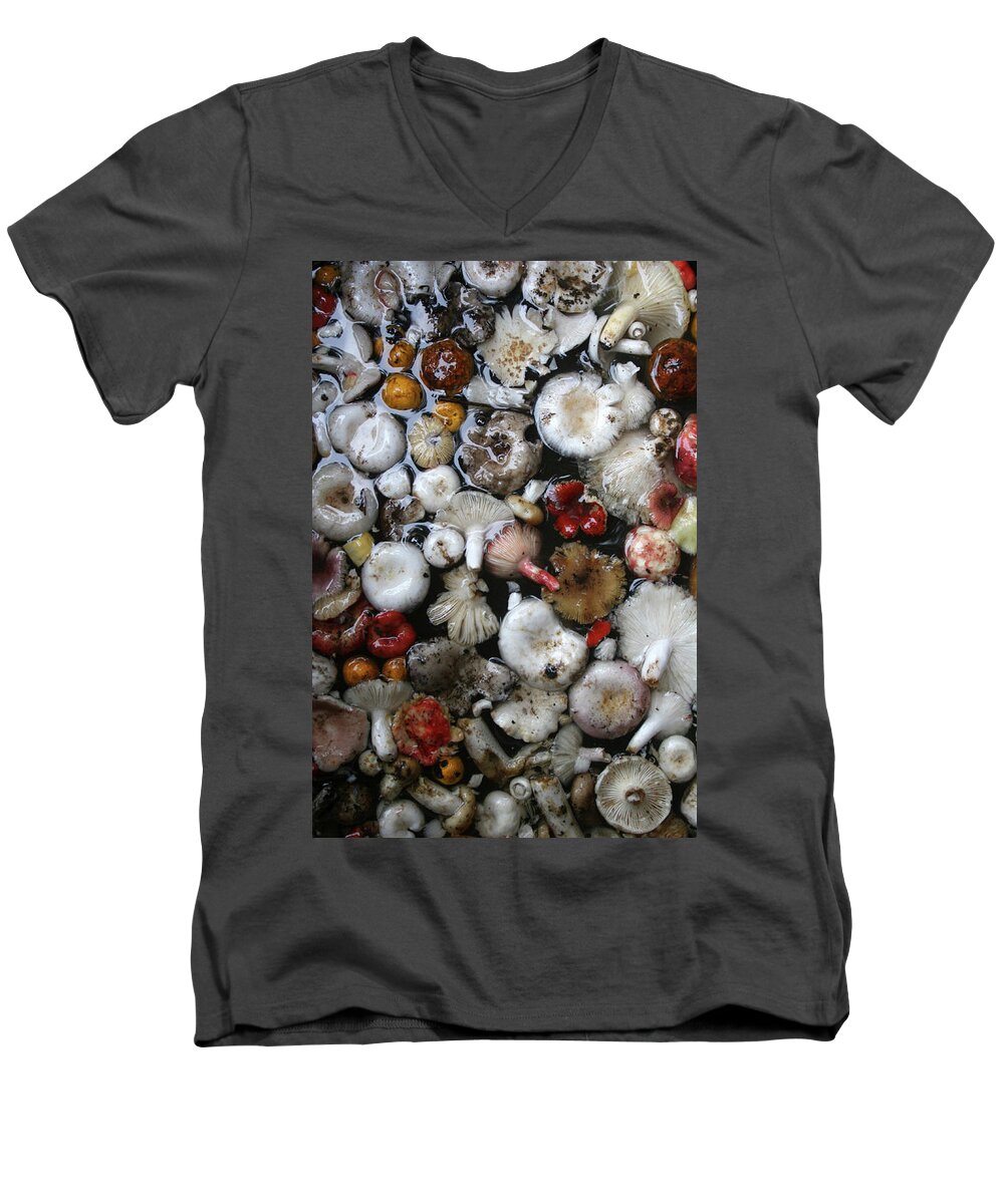 Art Men's V-Neck T-Shirt featuring the painting Mushrooms in Thailand by Jeremy Holton