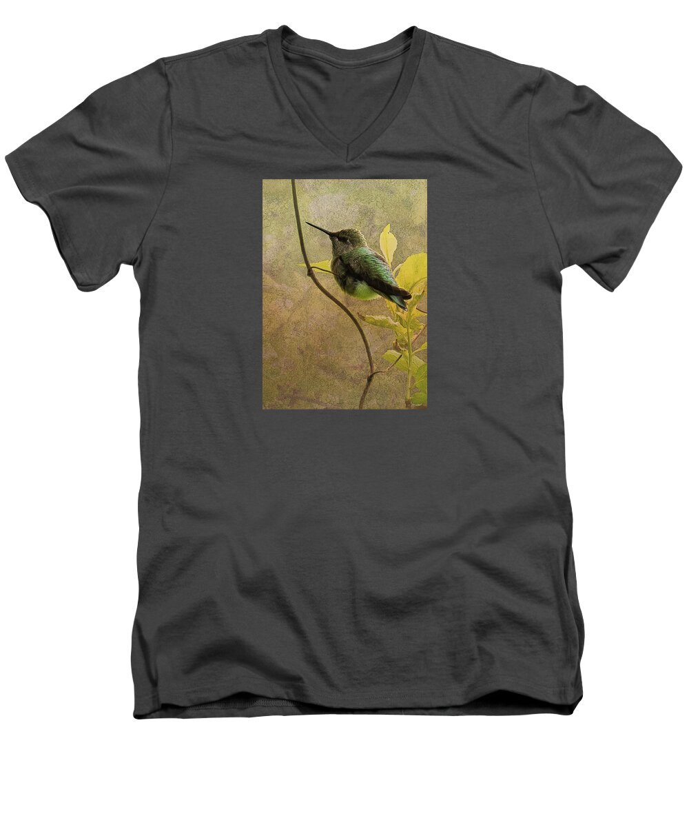 Anna's Humming Bird Men's V-Neck T-Shirt featuring the digital art My Greeting for this Day by I'ina Van Lawick