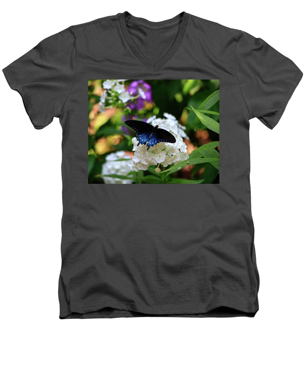 Butterfly Men's V-Neck T-Shirt featuring the photograph NC Arboretum Butterflies 2 by Matt Sexton