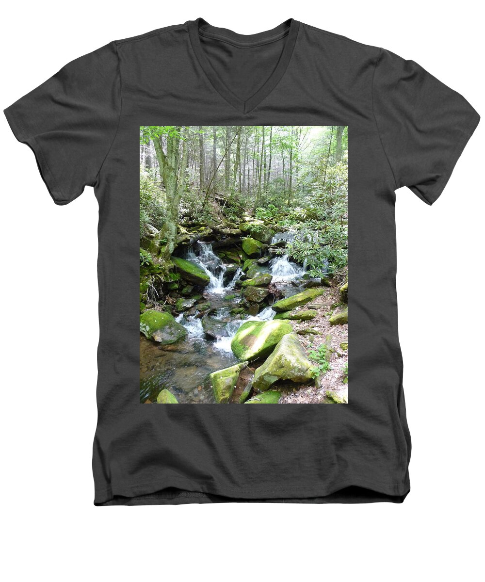 Nc Forests Men's V-Neck T-Shirt featuring the photograph Near the Grotto by Joel Deutsch