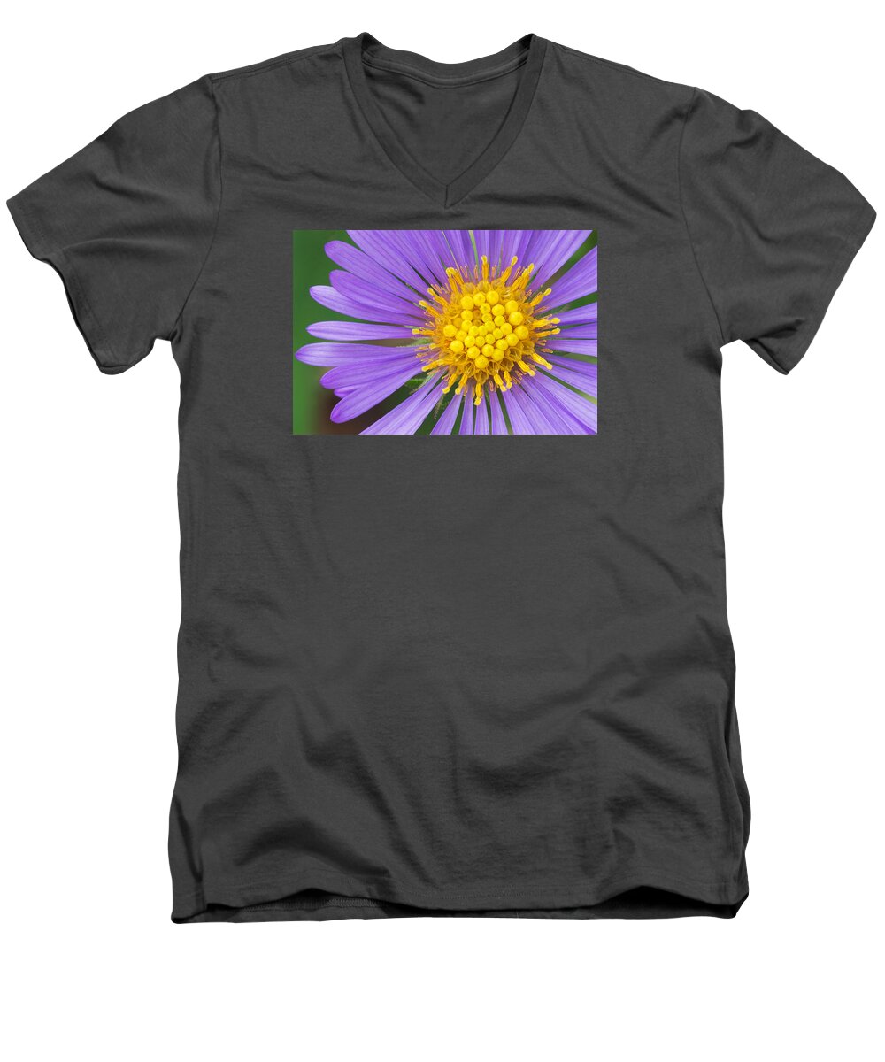 New England Aster Men's V-Neck T-Shirt featuring the photograph New England Aster by Jim Zablotny