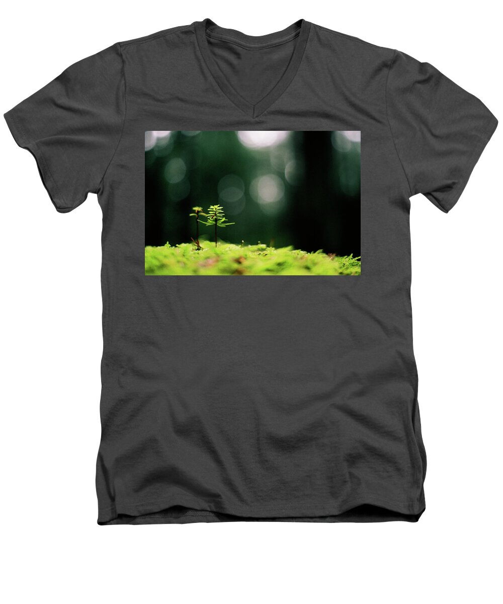 New Forest Men's V-Neck T-Shirt featuring the photograph New Forest by Cathie Douglas