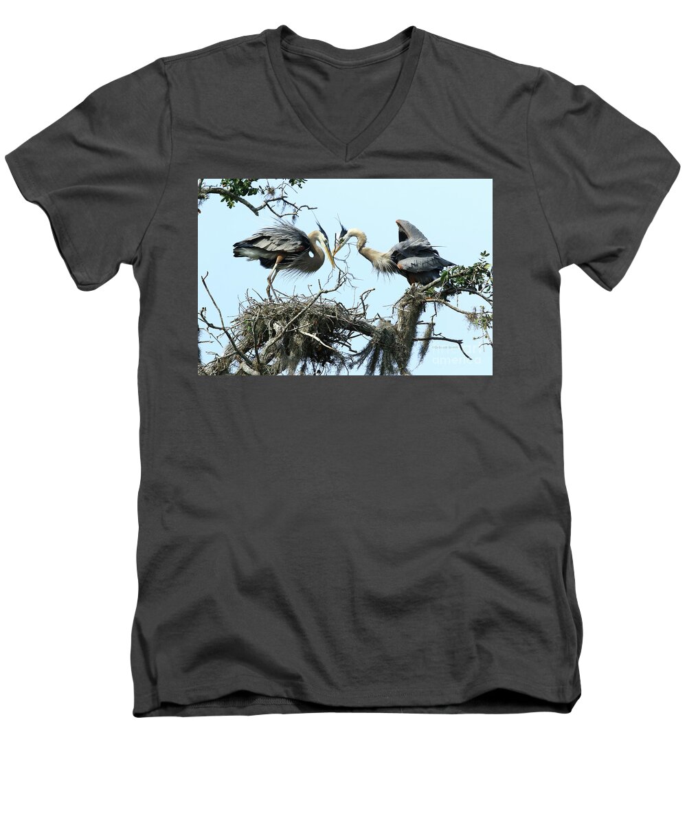Heron Men's V-Neck T-Shirt featuring the photograph New Twig by Deborah Benoit