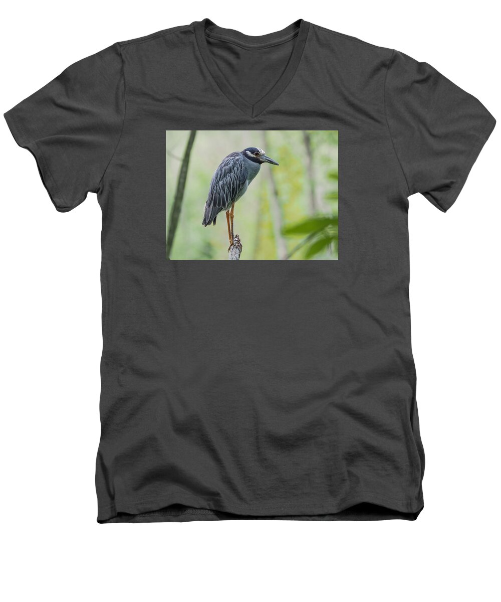 Heron Men's V-Neck T-Shirt featuring the photograph Night Heron by Paula Ponath