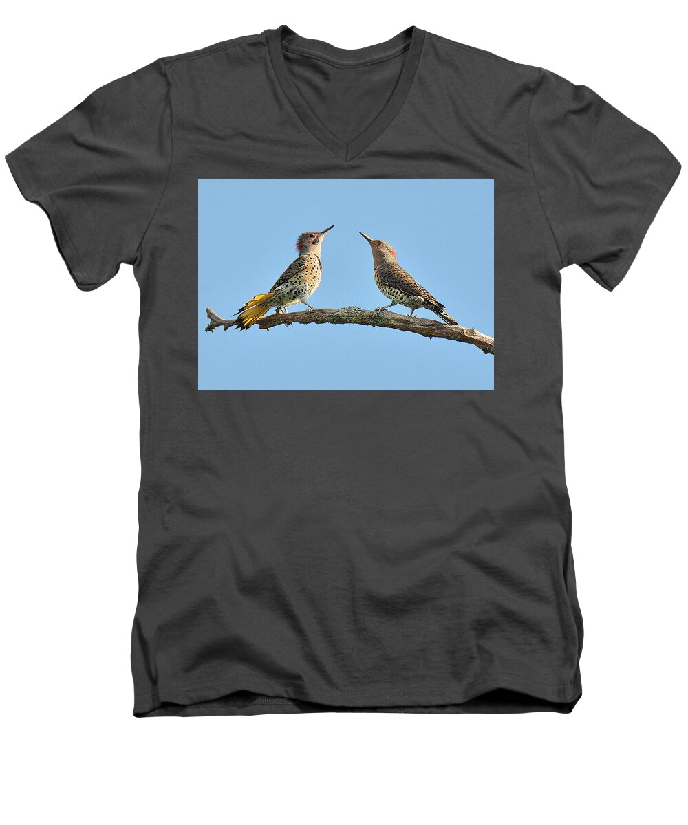 Bird Men's V-Neck T-Shirt featuring the photograph Northern Flickers Communicate by Alan Lenk