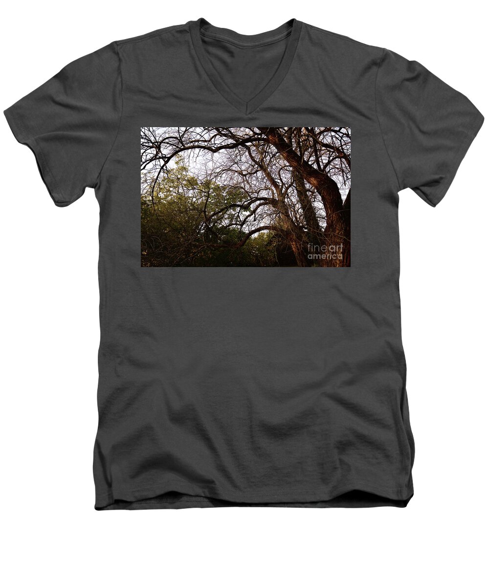 Tree Men's V-Neck T-Shirt featuring the photograph November Tree by Lara Morrison