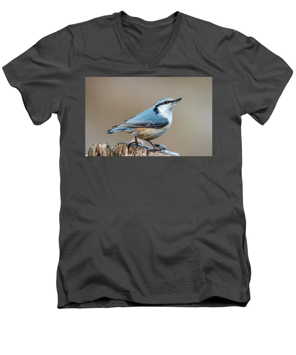 Nuthatch Men's V-Neck T-Shirt featuring the photograph Nuthatch's pose by Torbjorn Swenelius