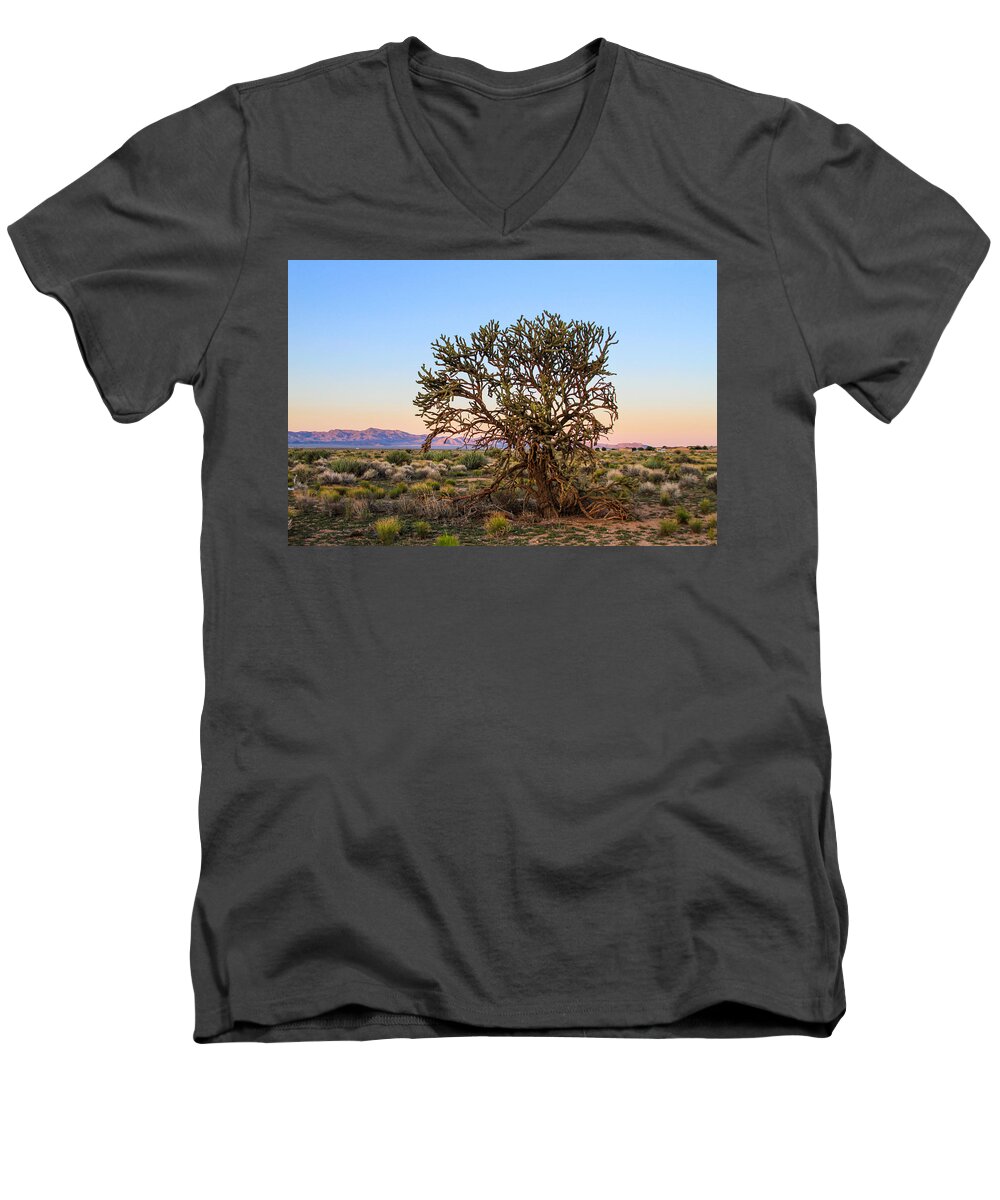 Bonnie Follett Men's V-Neck T-Shirt featuring the photograph Old Growth Cholla Cactus view 2 by Bonnie Follett