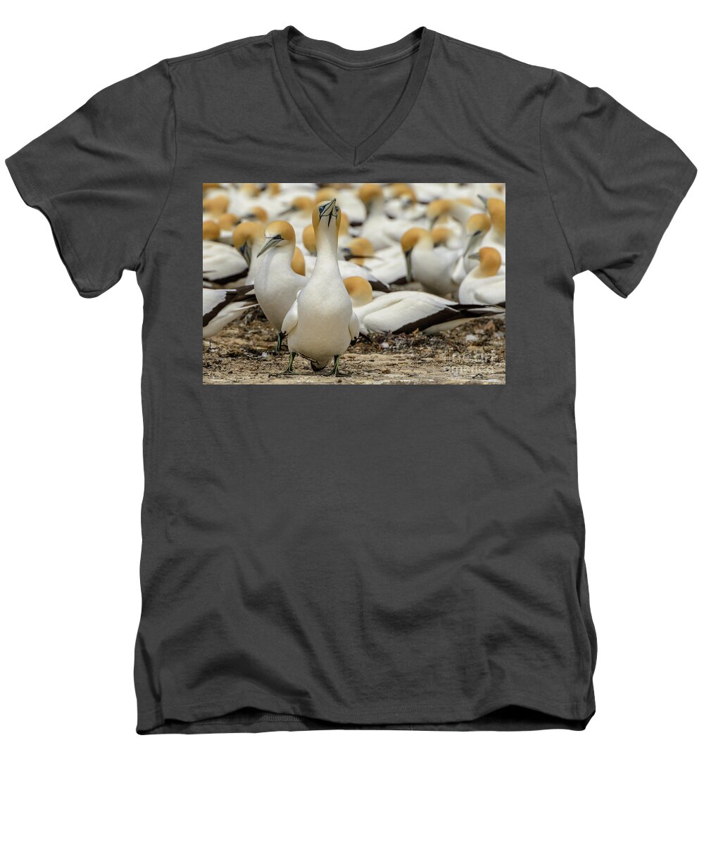 Bird Men's V-Neck T-Shirt featuring the photograph On Guard by Werner Padarin