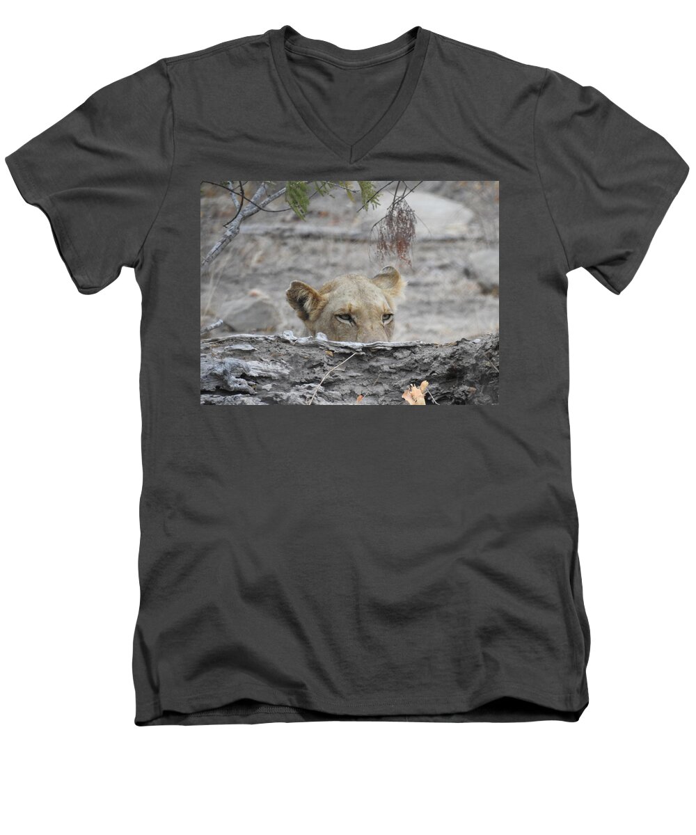Lioness Men's V-Neck T-Shirt featuring the photograph On the Lookout by Betty-Anne McDonald
