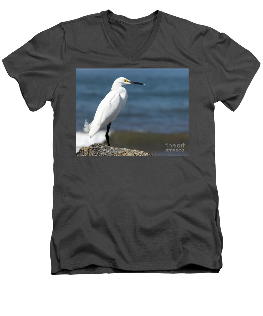 2016 Men's V-Neck T-Shirt featuring the photograph One Classy Chic Wildlife Art by Kaylyn Franks by Kaylyn Franks