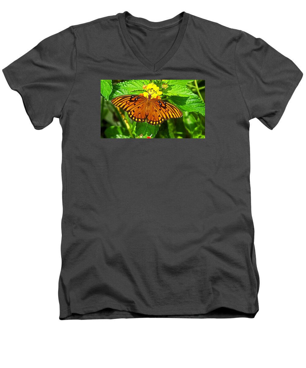 Butterfly Men's V-Neck T-Shirt featuring the photograph Open Wings by Judy Wanamaker