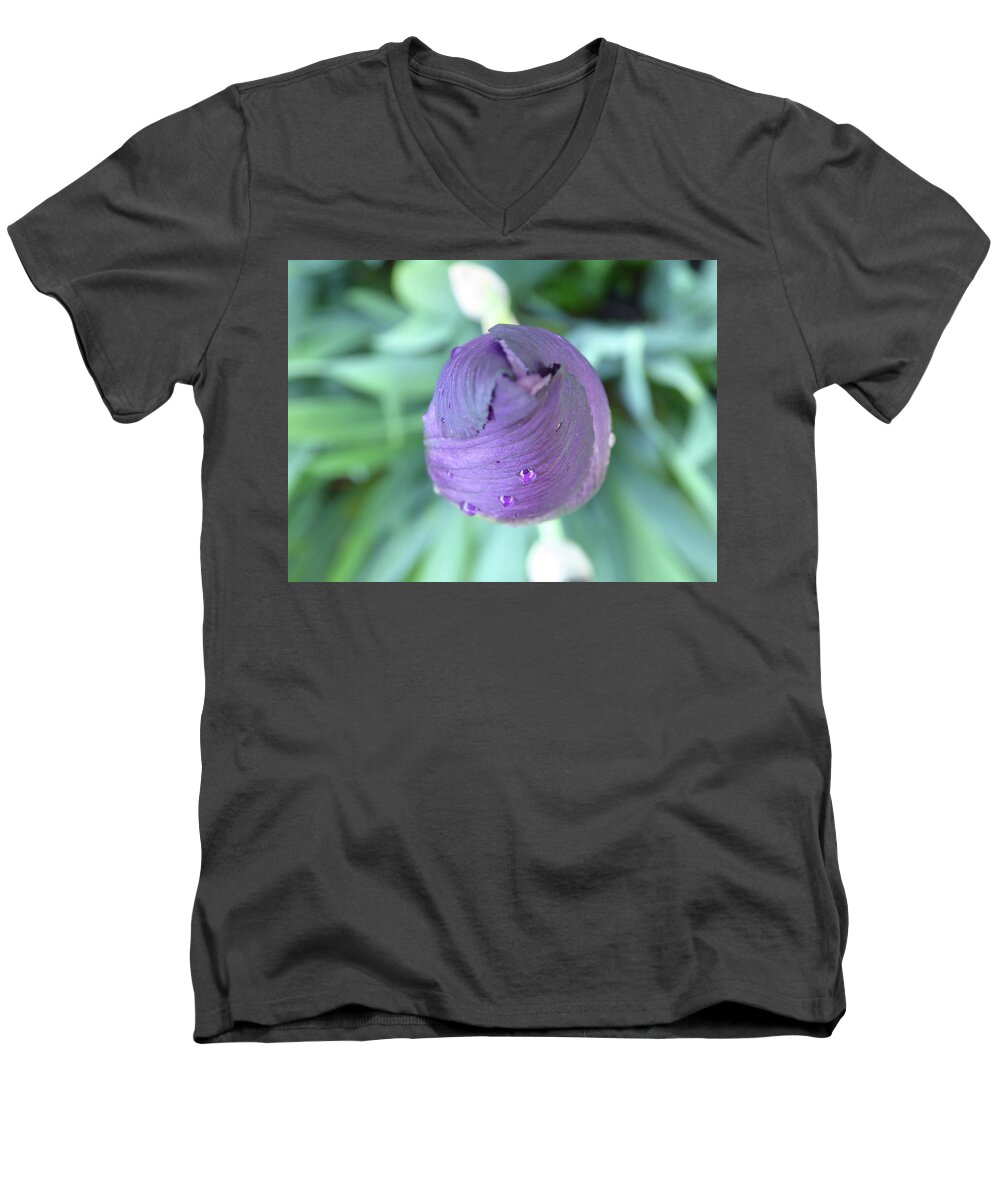 Iris Unopened Bloom Blossom Closed Bearded Purple Lavender Violet Droplets Rain Dew Macro Isolated New Men's V-Neck T-Shirt featuring the photograph Opening Soon by Leon DeVose