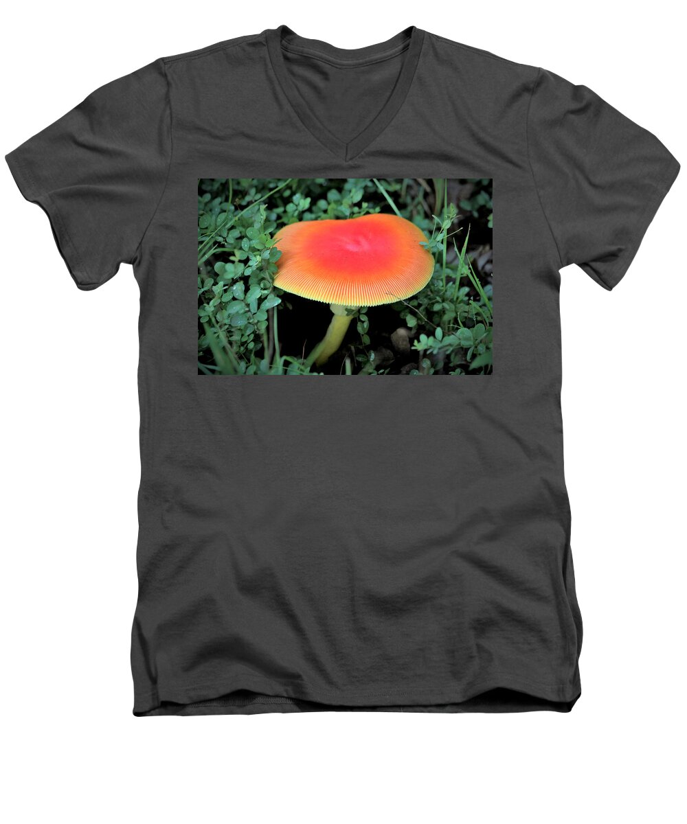 Nature Men's V-Neck T-Shirt featuring the photograph Orange Glow by Sheila Brown