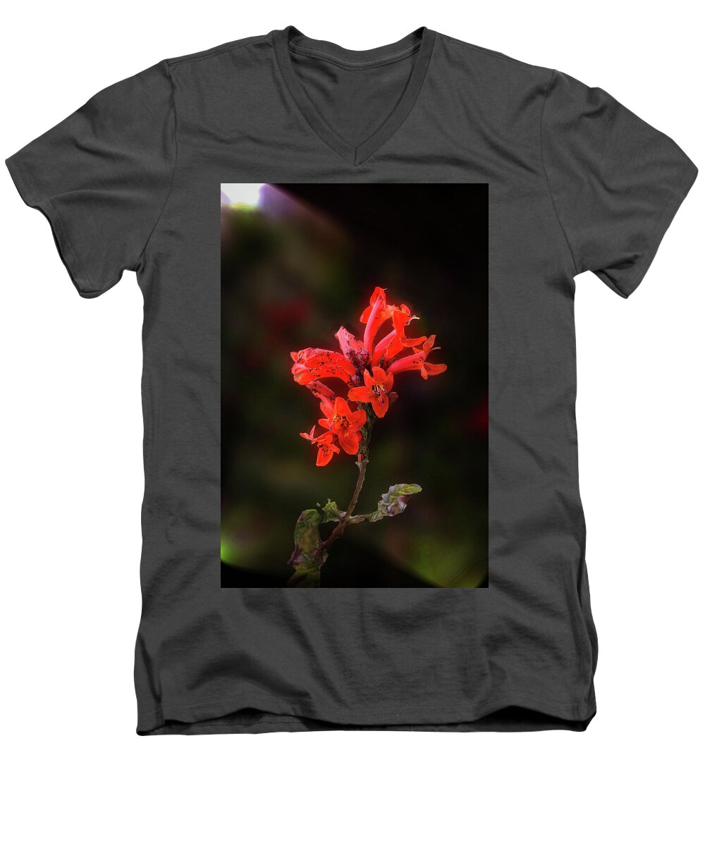 Flower Men's V-Neck T-Shirt featuring the photograph Orange Star Flower by Joseph Hollingsworth