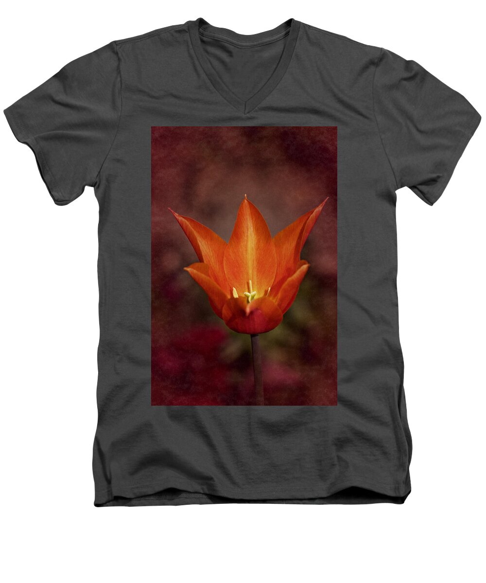 Tulip Men's V-Neck T-Shirt featuring the photograph Orange Tulip by Richard Cummings