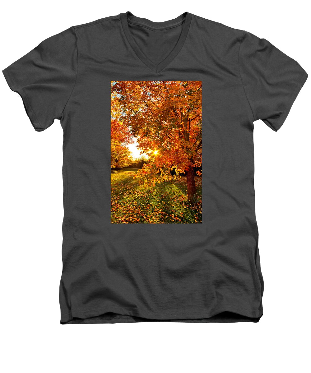 Autumn Men's V-Neck T-Shirt featuring the photograph Orange You Glad by Phil Koch