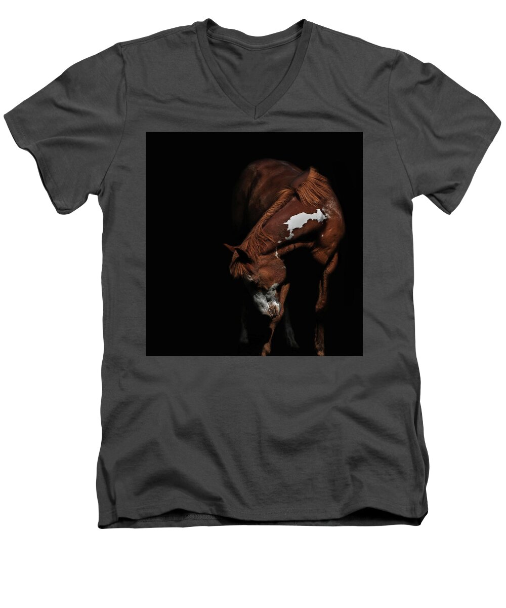 Paint Horse Men's V-Neck T-Shirt featuring the photograph Paint In Black II by Ryan Courson