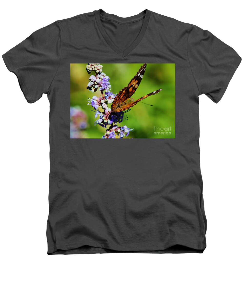 Butterflies Men's V-Neck T-Shirt featuring the photograph Painted Lady II by Marcia Breznay
