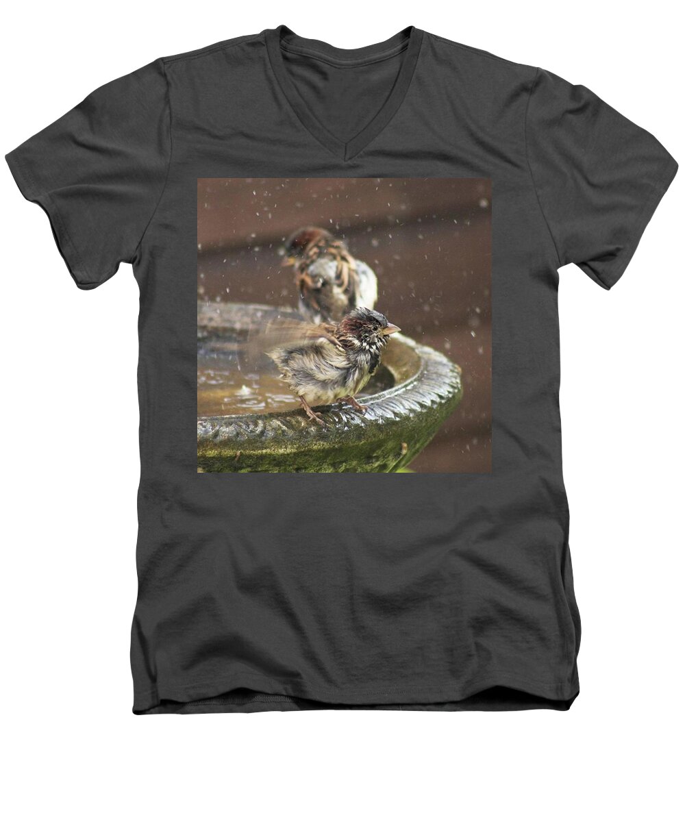 Nature Men's V-Neck T-Shirt featuring the photograph Pass The Towel Please: A House Sparrow by John Edwards