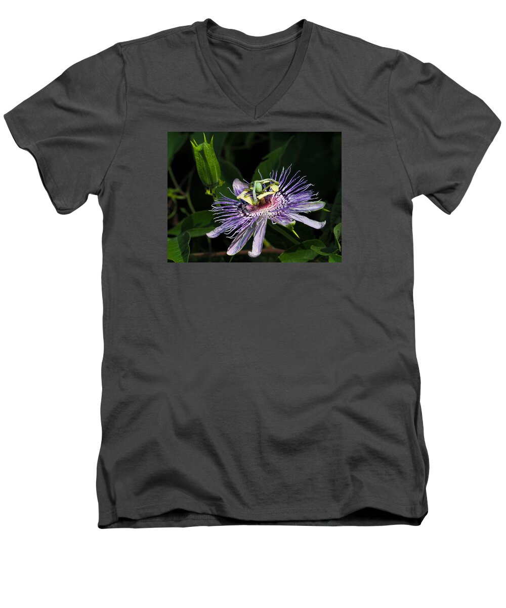 Passion Flower Men's V-Neck T-Shirt featuring the photograph Passion Flower by Paula Ponath
