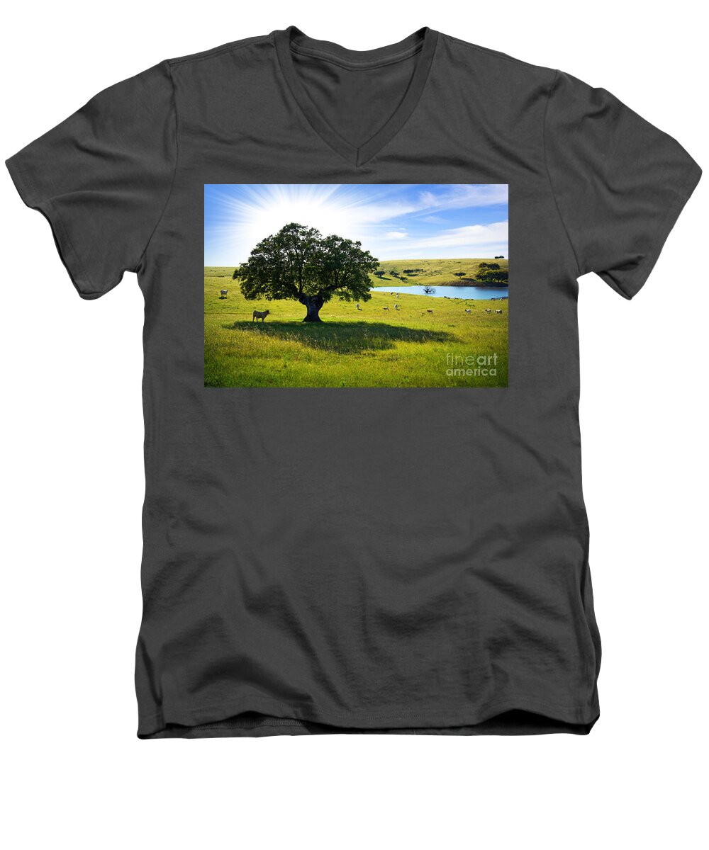 Agriculture Men's V-Neck T-Shirt featuring the photograph Pasturing cows by Carlos Caetano