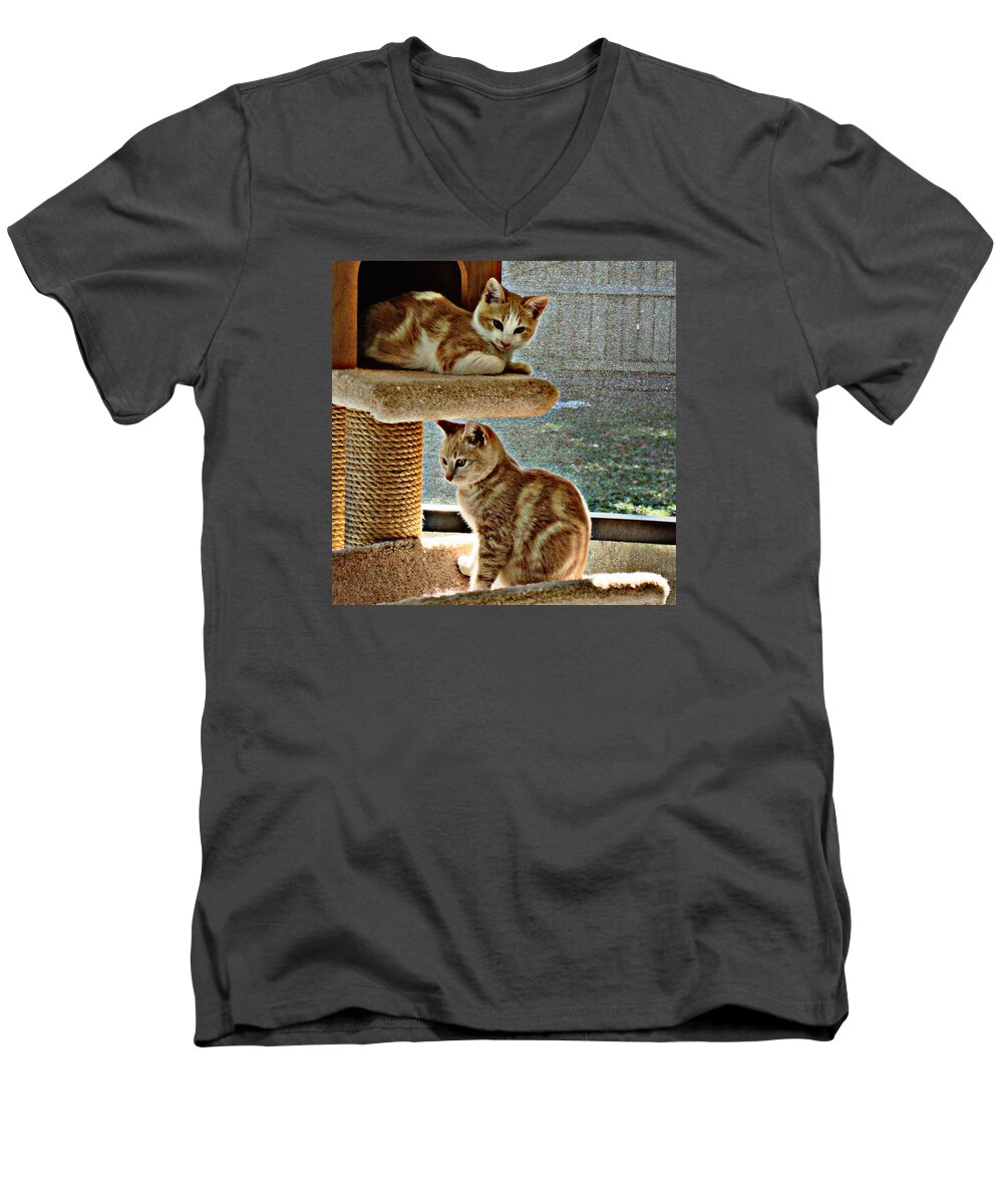 Patch & Dom Men's V-Neck T-Shirt featuring the photograph Patch and Dom by Bob Johnson